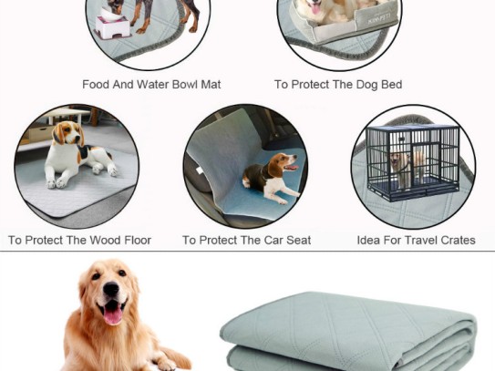  Discover the Ultimate Carpet Pet Resistant Solutions for Your Home